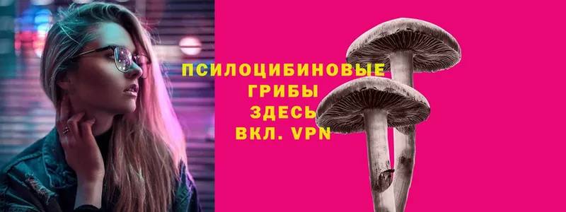 купить  цена  Разумное  Псилоцибиновые грибы Magic Shrooms 